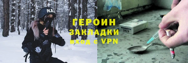 сатива Бородино