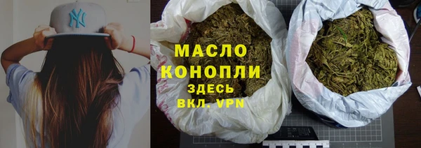 сатива Бородино