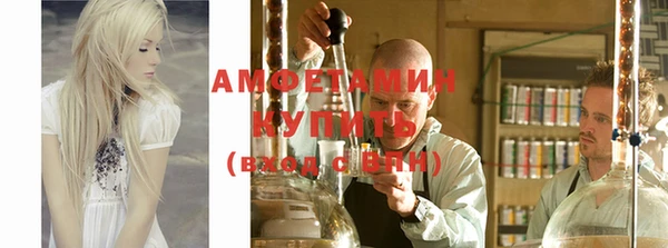 сатива Бородино