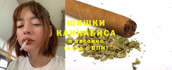сатива Бородино