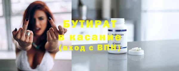 сатива Бородино
