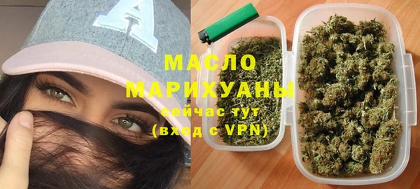 сатива Бородино