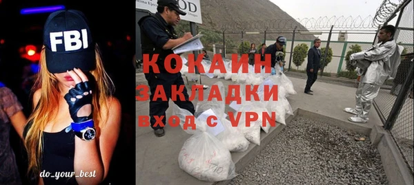 сатива Бородино