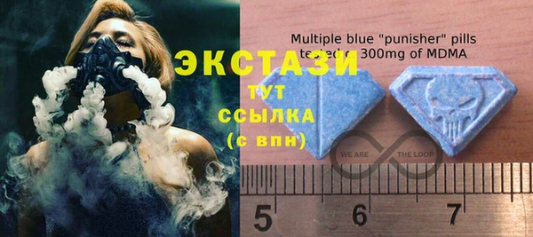 сатива Бородино