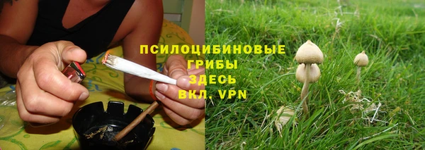 сатива Бородино