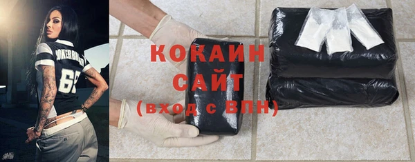 сатива Бородино